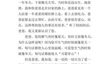 心里话作文200字