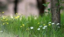 静守己心，看淡浮华