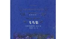 飞鸟集读后感200字