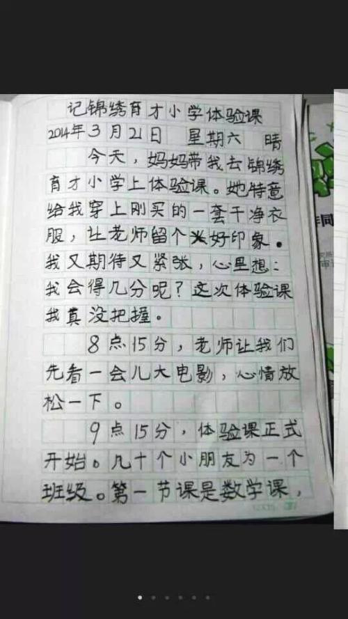 300字日记