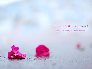 你好正能量成分500字