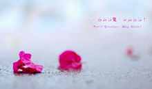 你好正能量作文500字