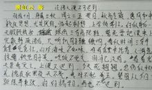 叙事作文800字