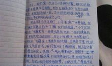 我从游戏中学到了语文作文