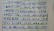 有关春雨的作文