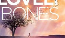 可爱的骨头读后感