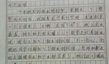 写春雨的作文500字