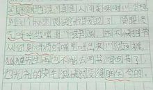 我得到了表扬作文250字