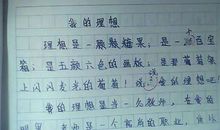 理想的作文