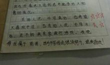 初中寒假日记300字