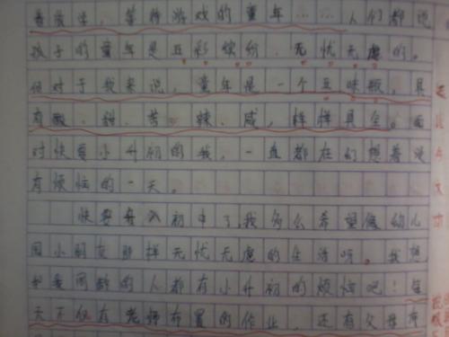 我的卧室作文500字