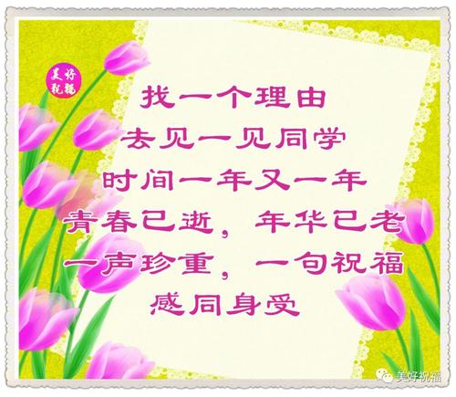 难忘的春节作文800字