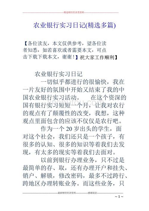 银行实习日记