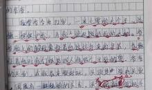 小学作文我的爷爷