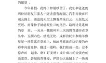 关于写雾的作文