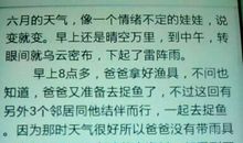 关于亲情的初中作文