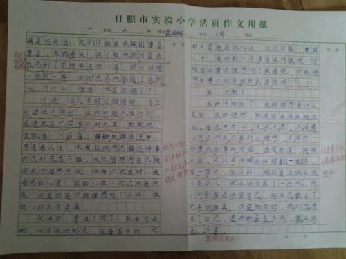 我理想的1000字作文