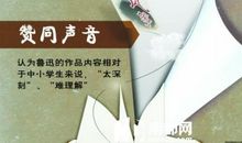 鲁迅的风筝读后感