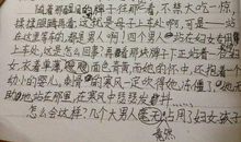 假文盲六年级作文400字