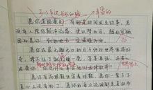 网络的危害作文