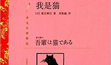 我是猫的读后感