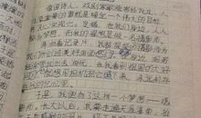 我的理想作文900字