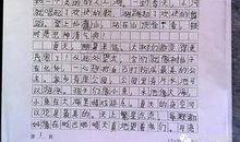 特别的日子作文