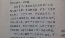 我最喜欢冬天作文