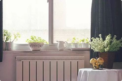 看完后又丰富又安静