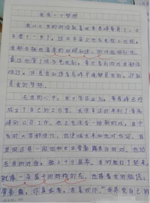 理想作文800字