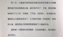 《夏洛的网》读后感500字