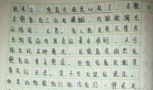 我喜欢小动物作文