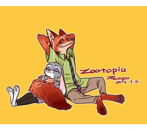 看完兔子和狐狸