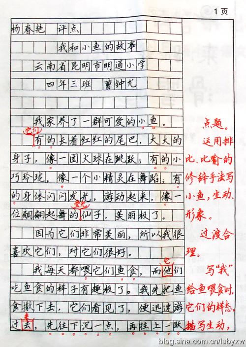 难忘的生日聚会组成