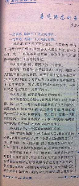 关于写作春天的组成