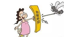 讨厌的蚊子作文