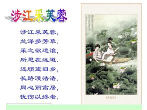 改写蔡江蔡芙蓉