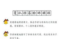 珍珠鸟课文读后感