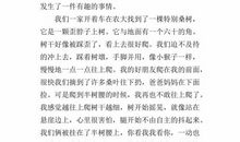 三年级作文一件有趣的事