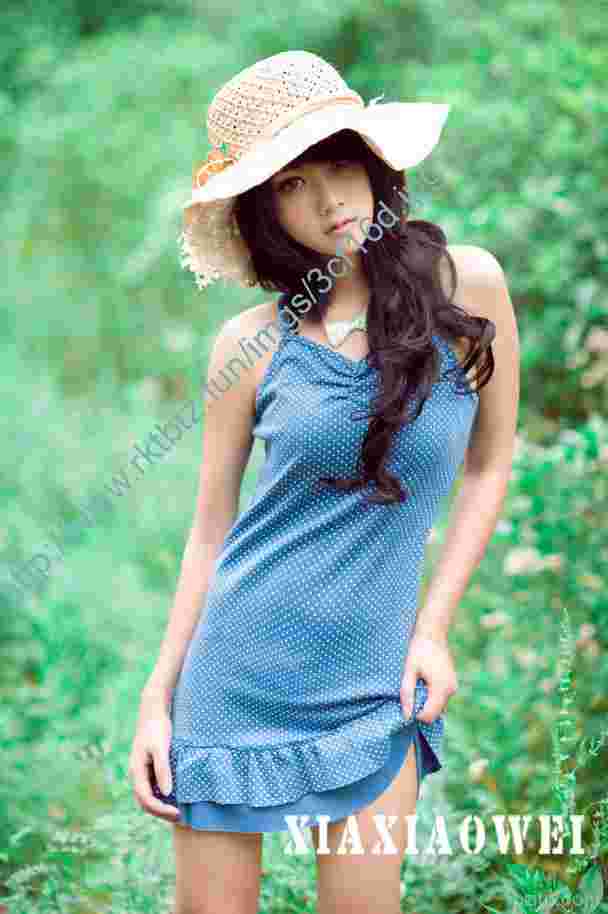 我发现了含羞草的秘密