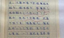 难忘的礼物作文600字