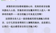 语言的魅力作文