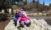 三个孩子探北极读后感