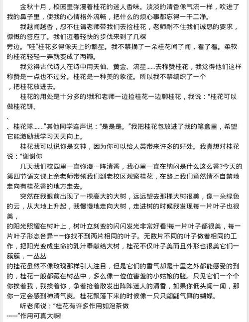 500个单词描述桂花