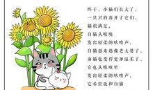 哲理小故事：活了一百万次的猫