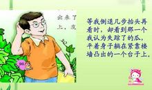 神奇的丝瓜读后感