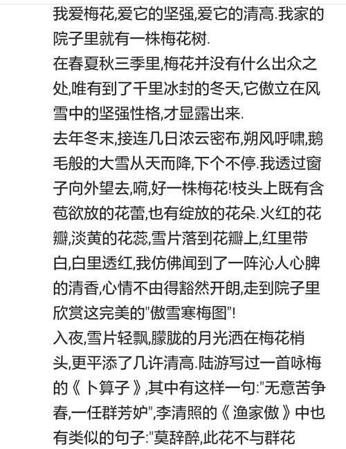梅花作文300字