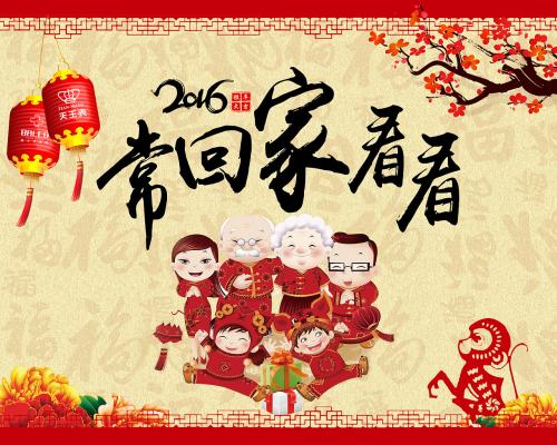 经常回家看看组成