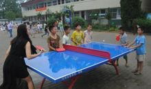 打乒乓球比赛的作文