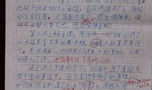 我的新发现作文400字